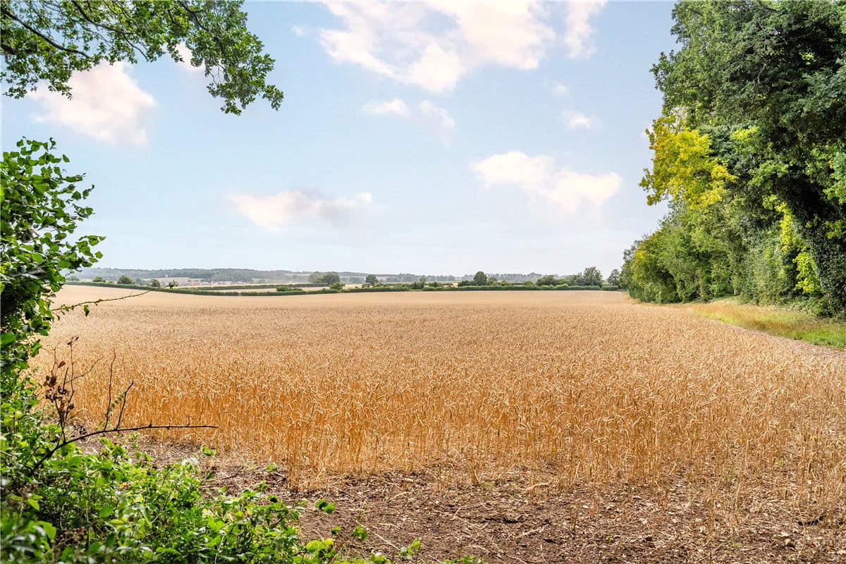 4 bedroom , Hurstbourne Priors, Whitchurch RG28 - Available