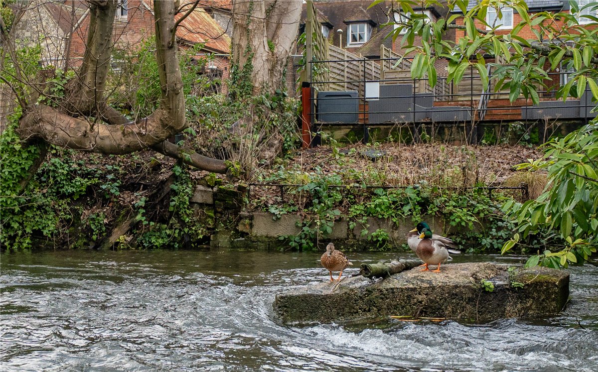 2 bedroom house, Chesil Street, Winchester SO23 - Available