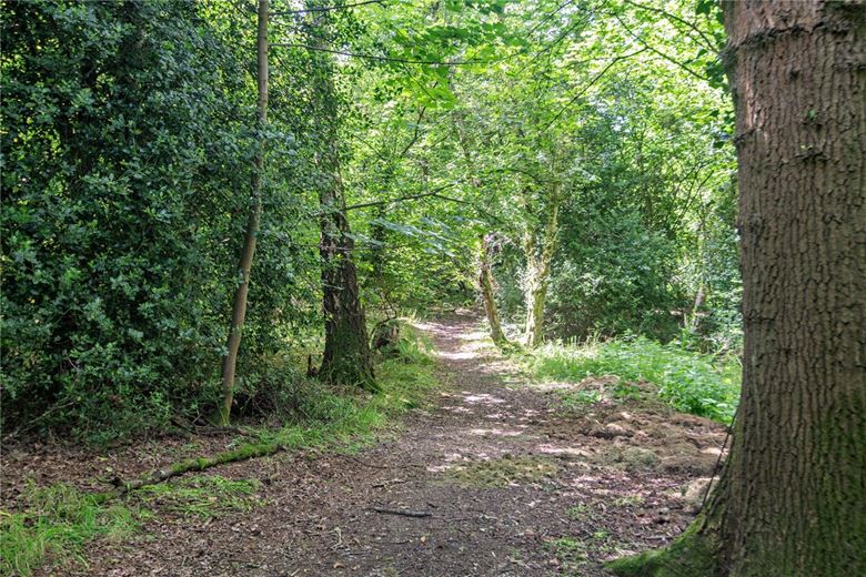 41.8 acres Bungalow, The Ridge, Cold Ash RG18 - Sold