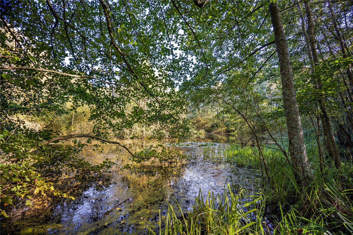 1.4 acres Land, Lower Way, Thatcham RG19 - Sold