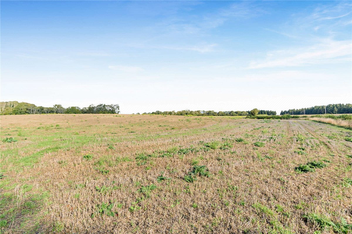 320.7 acres Land, Compton, Chichester PO18 - Sold STC