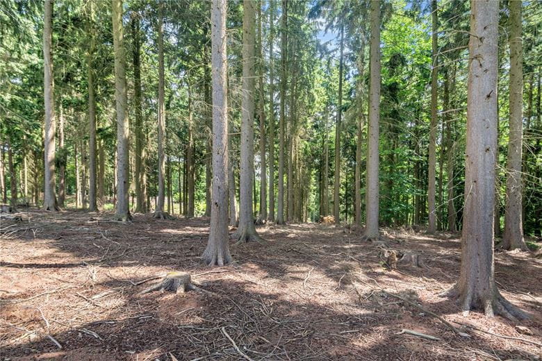 77.2 acres Land, Broad Lane, Upper Bucklebury RG7 - Available