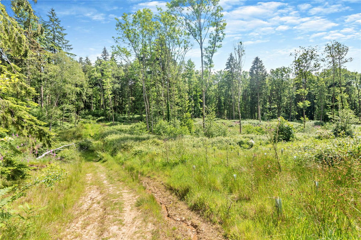 77.2 acres Land, Broad Lane, Upper Bucklebury RG7 - Available