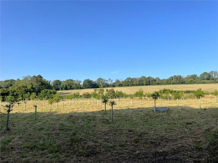 2 acres Land, Priors Dean, Petersfield GU32 - Available