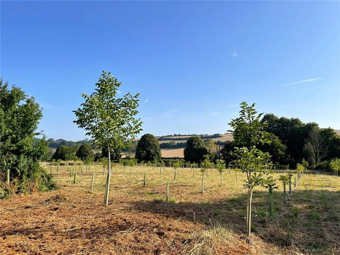 2 acres Land, Priors Dean, Petersfield GU32 - Available
