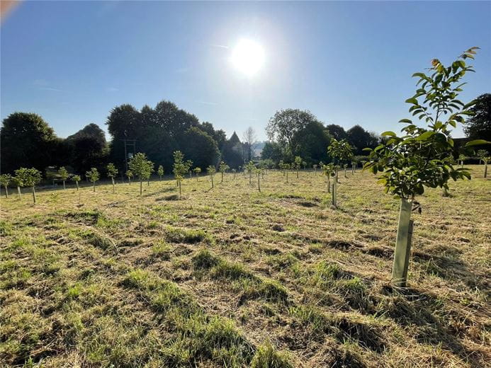 2 acres Land, Priors Dean, Petersfield GU32 - Available