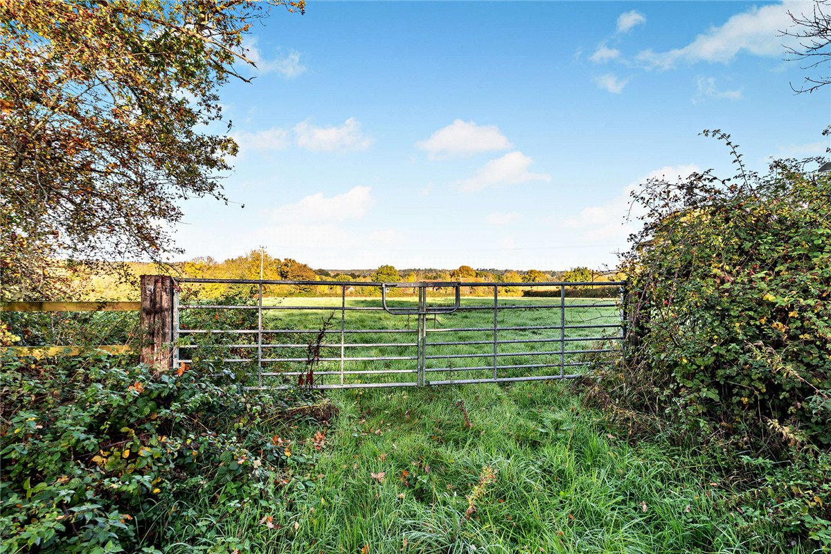 4.2 acres Land, Newbury, Berkshire RG14 - Available