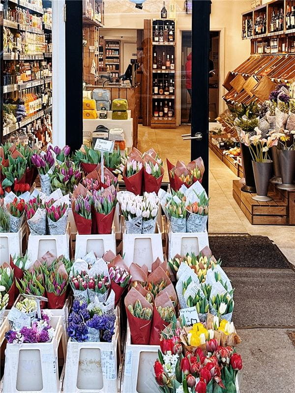 4 bedroom house, London Square Wandsworth Common, Springfield Drive SW17 - Available