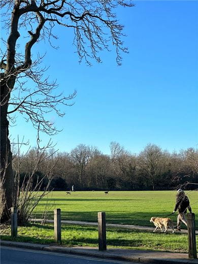 3 bedroom flat, London Square Wandsworth Common, Springfield Drive SW17 - Available