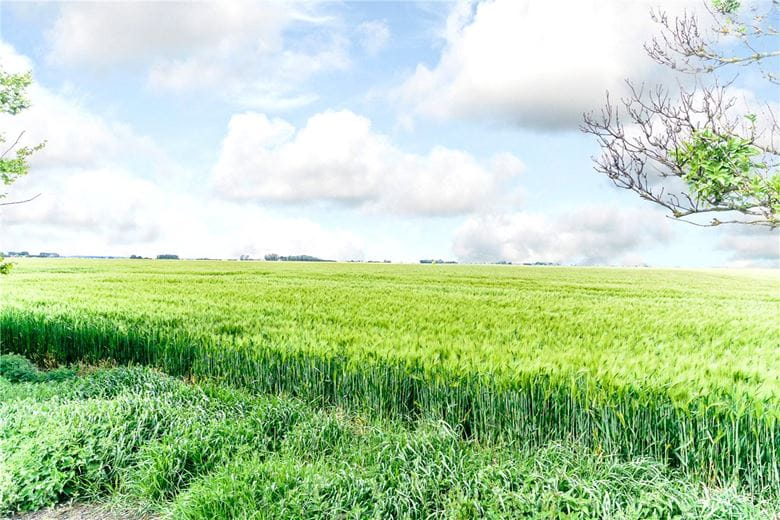 2 bedroom cottage, Channel Road, Sunk Island HU12 - Sold