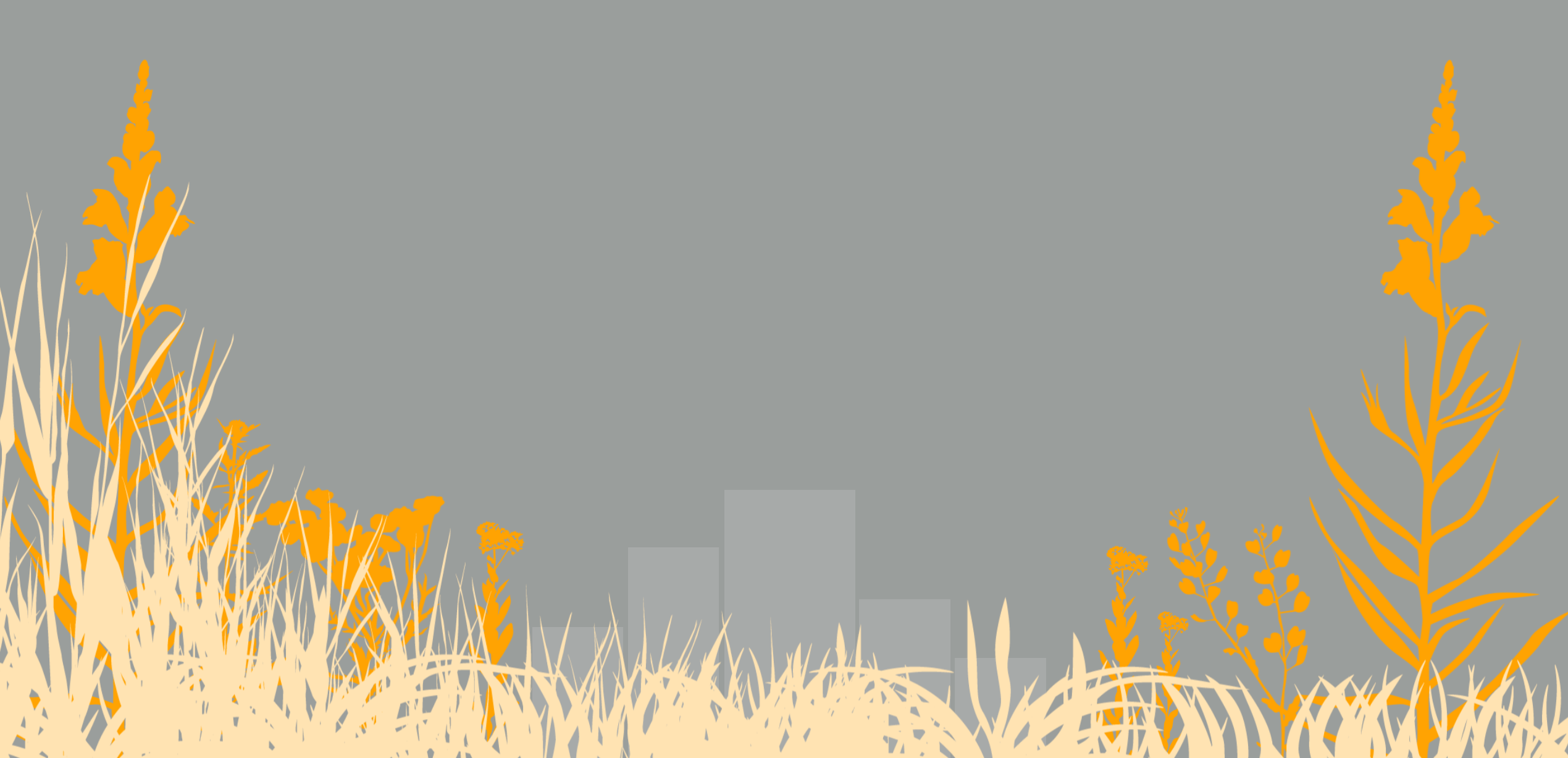 How will the introduction of biodiversity net gain impact development values?