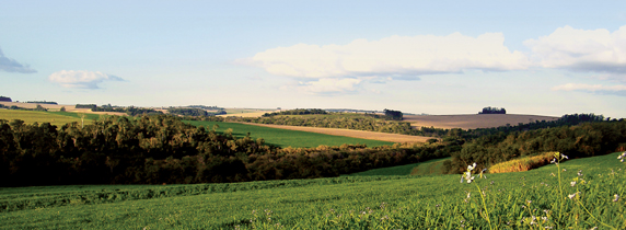 Rural estate